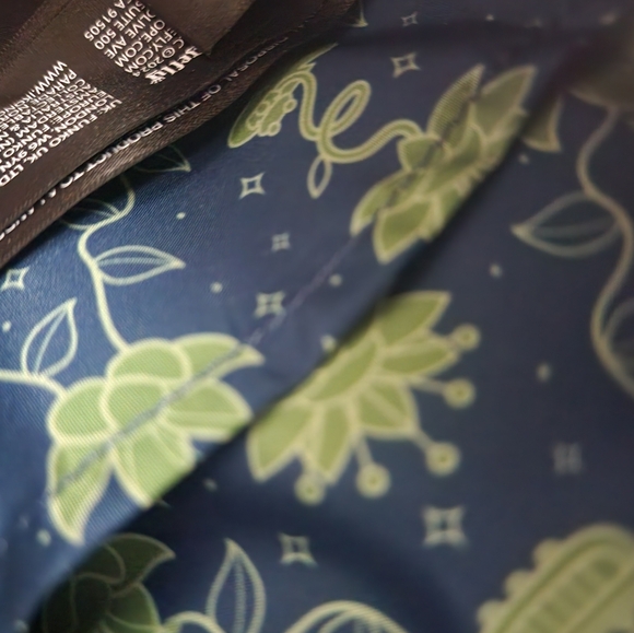 Disney Loungefly Princess and the Frog Backpack main image 10